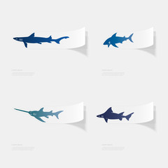 Shark. Flat sticker with shadow on white background