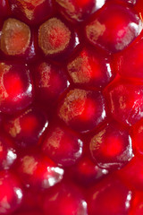 pomegranate