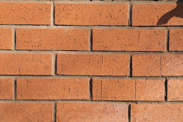 Obraz premium Red brick wall