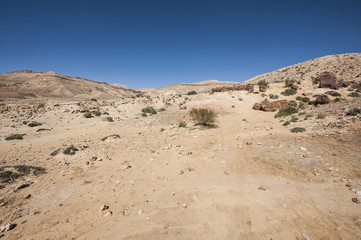 Landscape of the desert in Israel