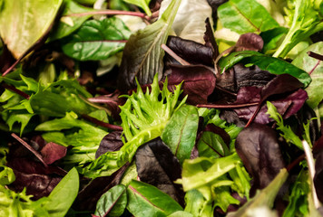 Fresh salad with mixed greens lettuce arugula, mesclun, mache close up Healthy food Green meal