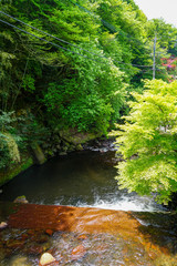 View of natural fresh flowing spring stream with stone bank through light glowing green maple trees and forest shadow on stone bank in Kurokawa onsen town