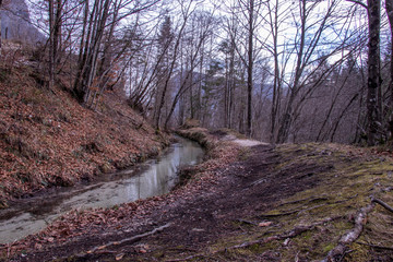 small stream and path next to it