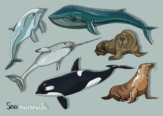 Naklejka premium Sea mammals animal collection icons set