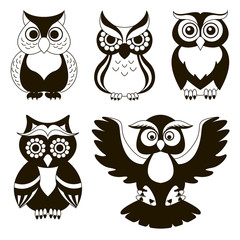 Set of owls