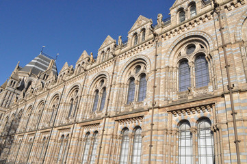 Natural History Museum in London