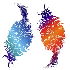 Decorative feathers.Vector design
