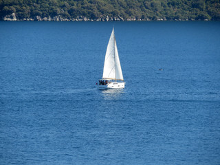 Fototapeta premium Sailboat in the sea. Yacht near mountainous forested shore