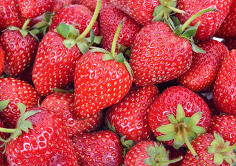 Fresh Strawberry Background