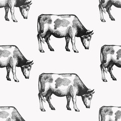 Seamless farm vector pattern. Graphical cow silhouette, hand drawn vintage illustrations. Retro farm animals background.