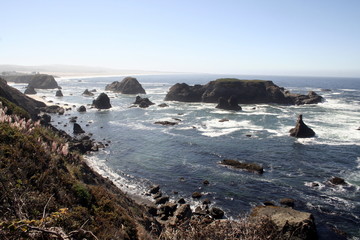 Fototapeta na wymiar A view of the California coastline on a sunny day