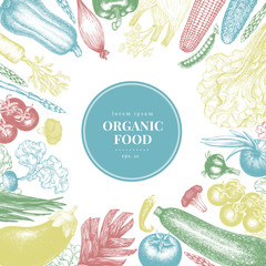 Vector hand drawn vegetables Illustration. Vintage style banner template. Retro organic farm food background. Can be use for menu, packaging, label, farm market.