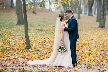 Groom and bride together. Wedding couple.