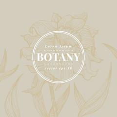 Hand drawn vintage narcissus. Vector blooming flower. Botanical banner template. Can be use for wedding invitations and greeting cards, page decoration, packaging.