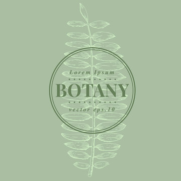 Hand drawn vintage fern. Botanical vector banner template. Can be use for wedding invitations and greeting cards, page decoration, packaging.