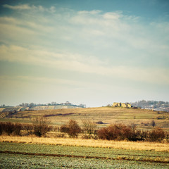 Obraz premium Landschaft bei Oggau im Burgenland
