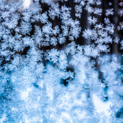Frozen snowflakes in winter on the glass