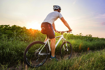 Fototapeta premium male cyclist riding a bicycle between fields in summer at sunset
