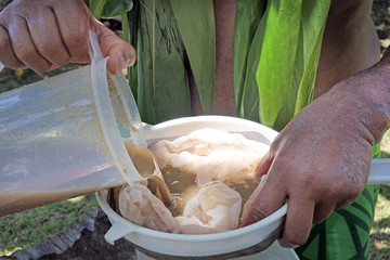 Cook Islander man prepares Kava drink in Rarotonga Cook Islands - obrazy, fototapety, plakaty