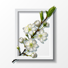 Branch of white cherry flowers in paper frame