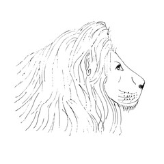 Lion male head ink hand drawn sketch on white background - 196145640