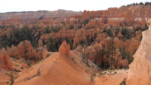 Movement At High Point View At Bryce Canyon With Orange Red Mountains And Cliffs