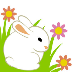 Easter eggs and bunny