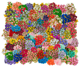 Fototapeta na wymiar texture of colorful flowers on a white background