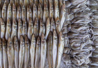 Frischer Fisch und Oktopuse auf dem Fischmatkt.