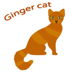 Cat. Cartoon ginger cat  isolated on white background. Vector illustration.