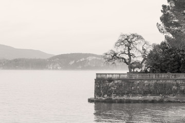 A particular view of Lago Maggiore, Italy