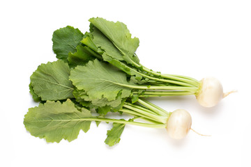 Fresh white round turnip radish on white background.
