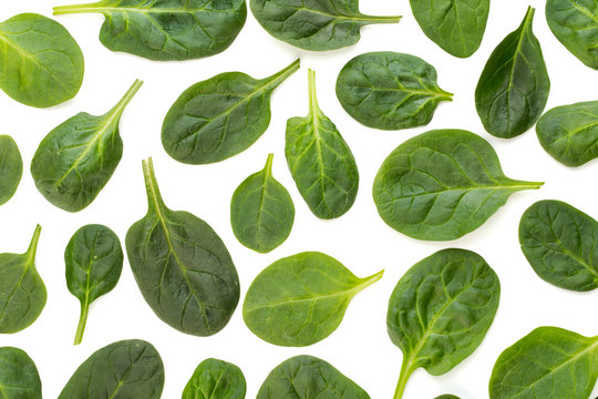 Spinach pattern background on white. Top view