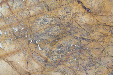 different kinds of stone, metal structures and backgrounds of thailand, koh samui