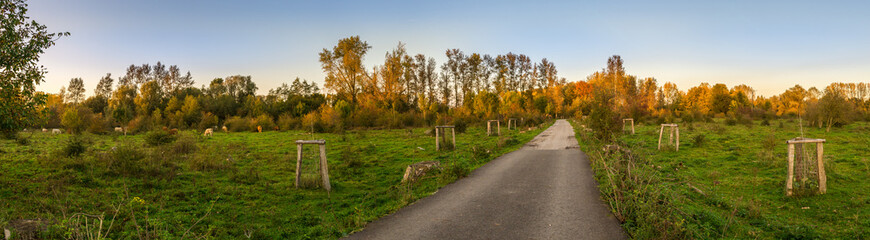 Naturpark Bislicher Insel bei Xanten im Herbst