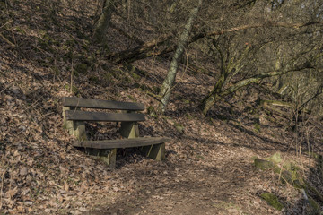 Path near Lovos hill in north Bohemia