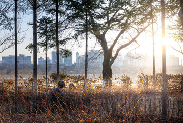 View of the Seonyudo Park in Seoul, South Korea