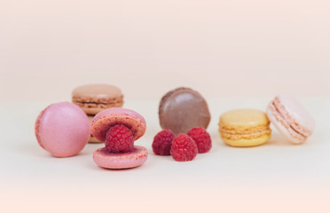 French macaroon cake macaroons as a shell with raspberry pearl.