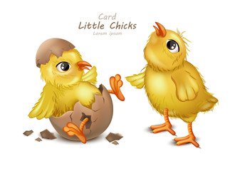 Easter card with cute Chicken Vector. cracked egg white backgrounds