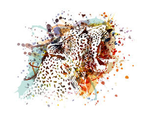 Naklejka premium Vector illustration of a leopard head