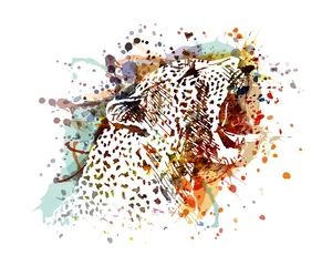 Foto op Plexiglas Vector illustration of a leopard head © onot