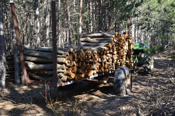 An example of industrial deforestation in the south of france