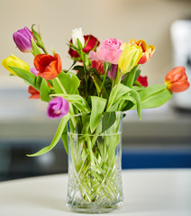 Colorful tulips in a vase