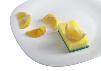 White plate and dish sponge .