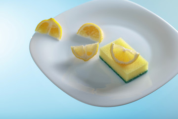 White plate and dish sponge .