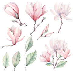 Watercolor magnolia  flowers set - obrazy, fototapety, plakaty