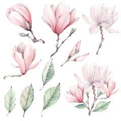 Foto op Canvas Watercolor magnolia  flowers set © Lemaris