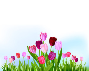 Floral Tulip spring banner