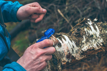 Male hand with lighter lighting bark of birch tree.