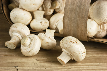 Basket with mushrooms on wooden background